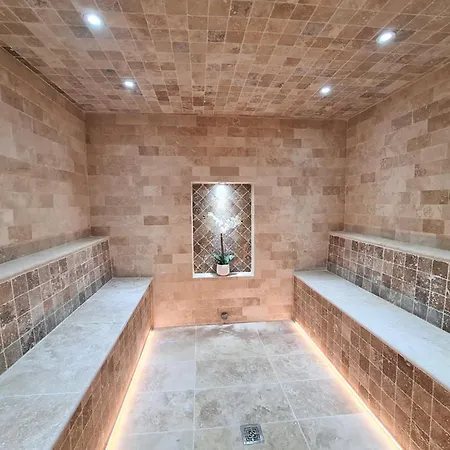 Domek alpejski La Louve, 1650- 15 Personnes Jacuzzi Et Hammam Pistes 70 M,commerces 50m *
